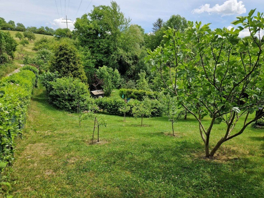 Garten Freizeitgrundst�ck Dettingen