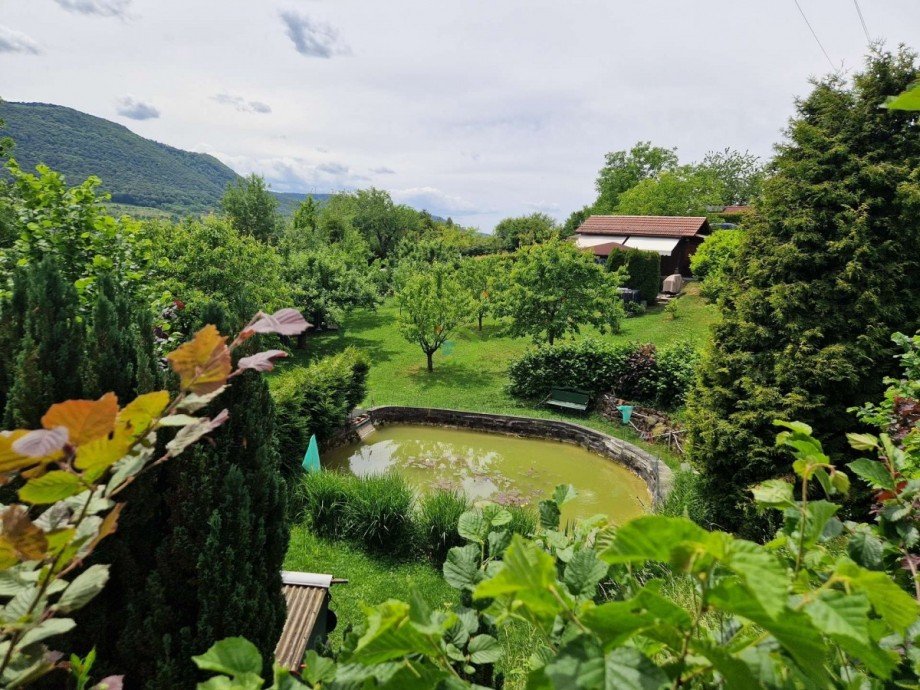Garten Freizeitgrundst�ck Dettingen