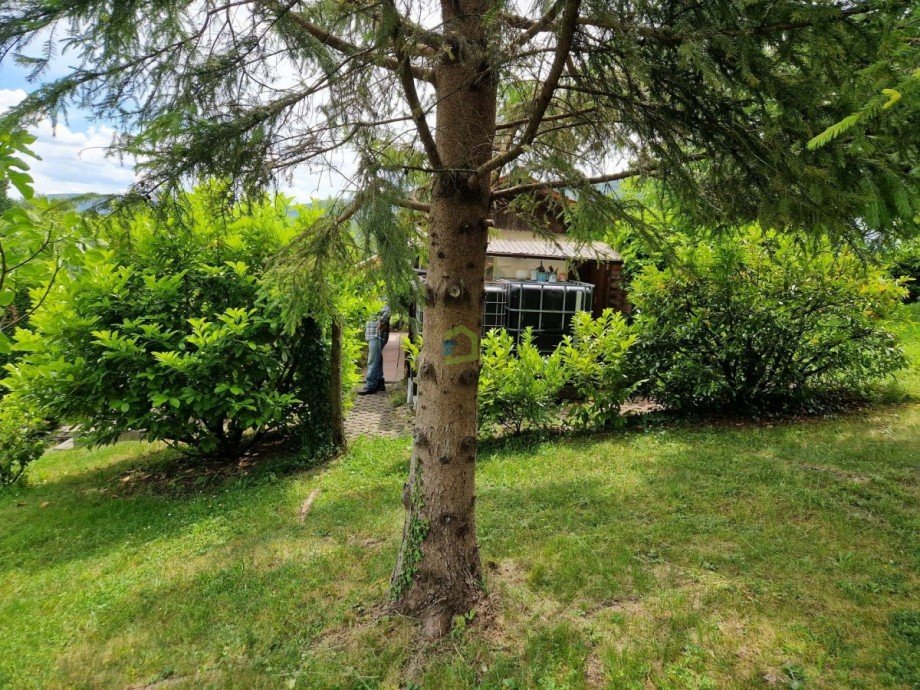 Garten Freizeitgrundst�ck Dettingen