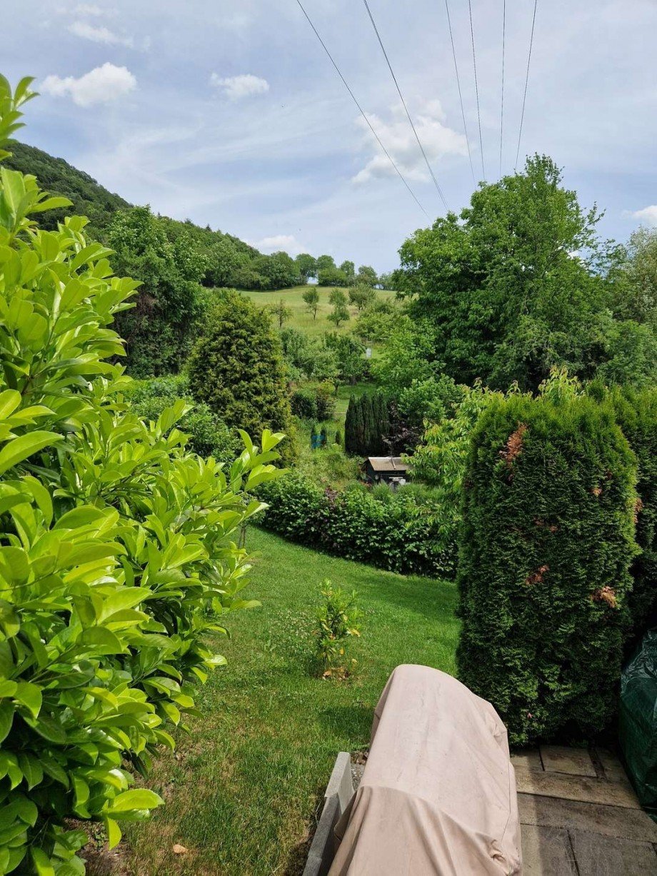 Garten Freizeitgrundst�ck Dettingen