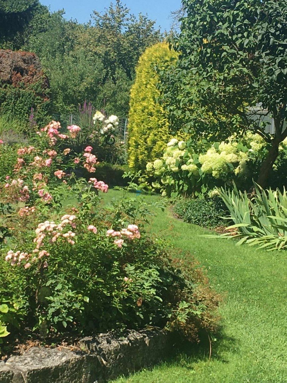Sommerimpression Doppelhaush�lfte Neuffen