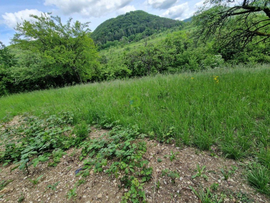 Grundst�ck Land- / Forstwirtschaft - Grdst. Eningen unter Achalm