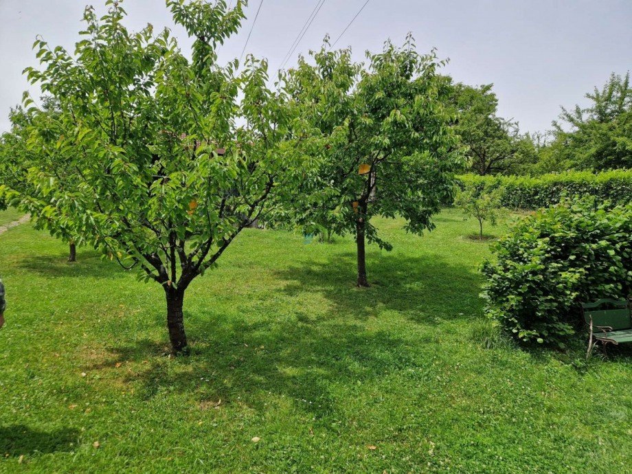 Garten Freizeitgrundst�ck Dettingen